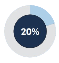 20%