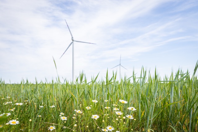 windmill in field