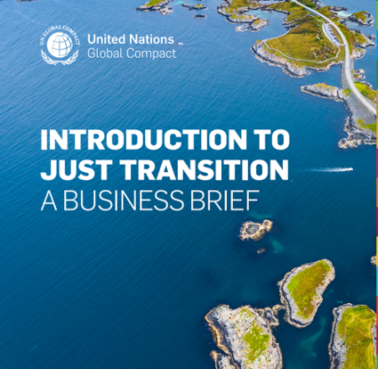intro to just transition a business brief
