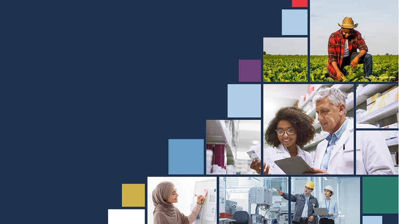 Graphic with a dark navy background and a staircase-like grid of colored squares and photos ascending from bottom-left to top-right. Photos show a farmer in a field, two people examining a tablet in a lab or pharmacy, a woman writing on a whiteboard, and construction/industrial workers, interspersed with solid blue, teal, yellow, and red squares.