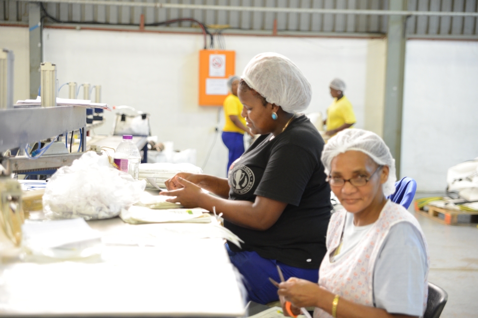 two women working in factory