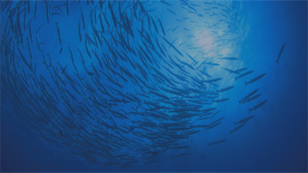 deep sea