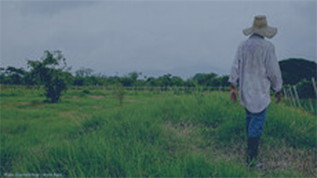 person walking outside on grass