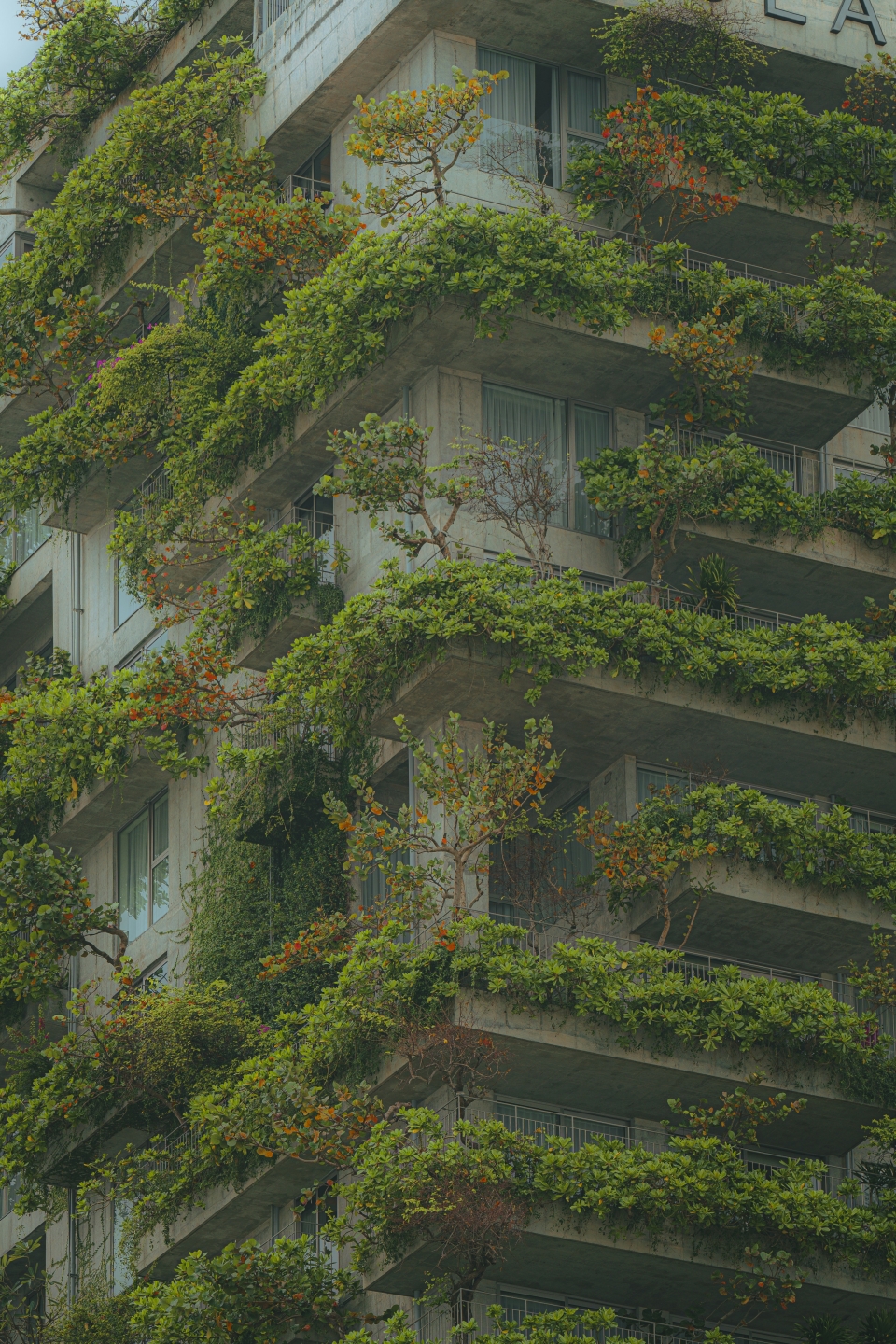 Building covered with overgrown trees and plants