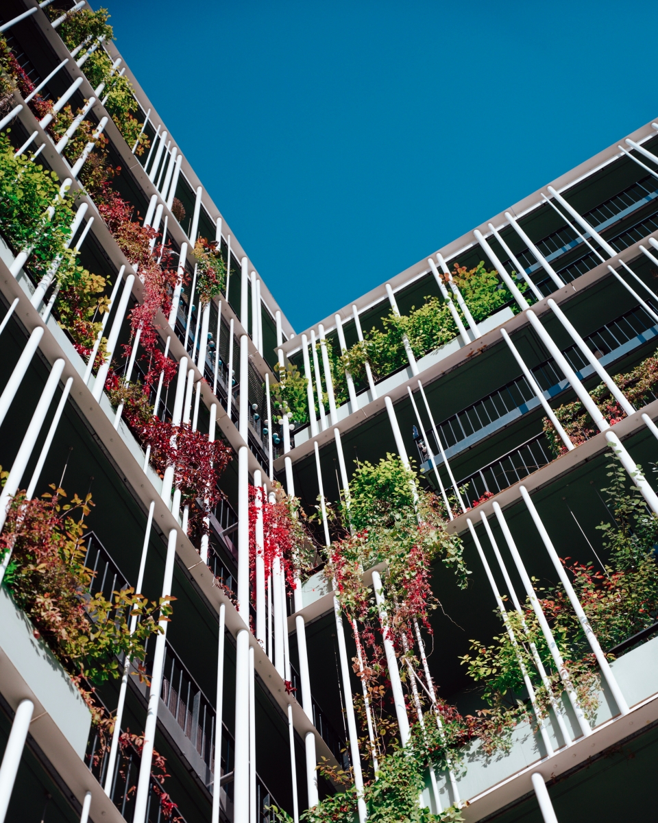 The Business Case for Sustainability | Cambridge Institute for Sustainability Leadership (CISL)