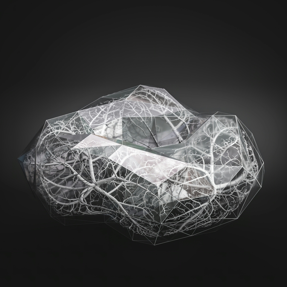 The Plastics Pact Network | WRAP