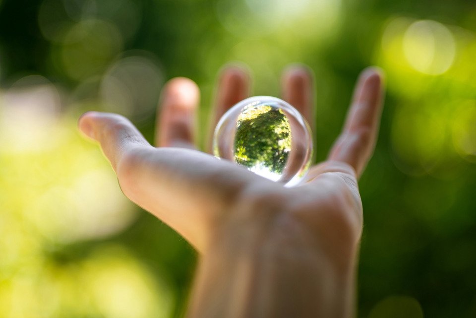 SDG Ambition - Ambition Guide: Setting Sustainability Goals