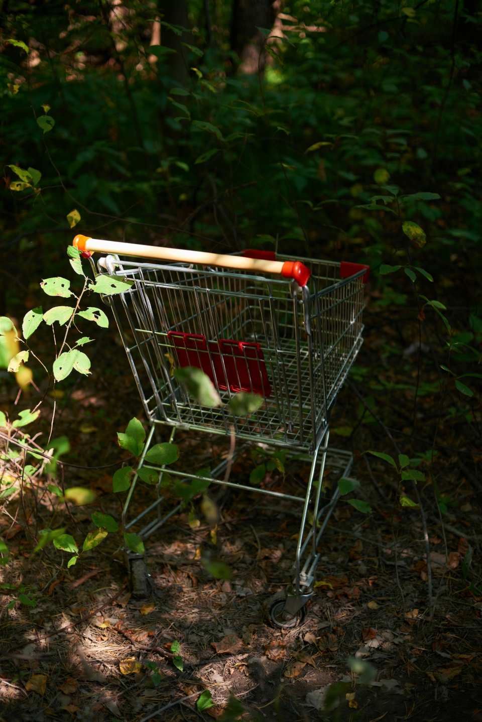 https://www.kantar.com/inspiration/sustainability/pandemic-inflation-and-politics-why-ethical-and-environmental-consumerism-is-here-to-stay