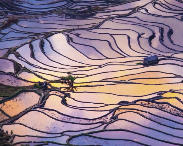 Digital Image for the CEO Study done by the UN Global Compact and Accenture