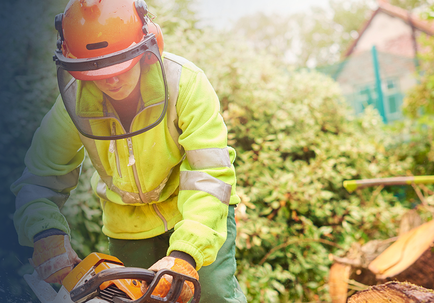 Finnish forestry giant takes action to eliminate gender pay gaps