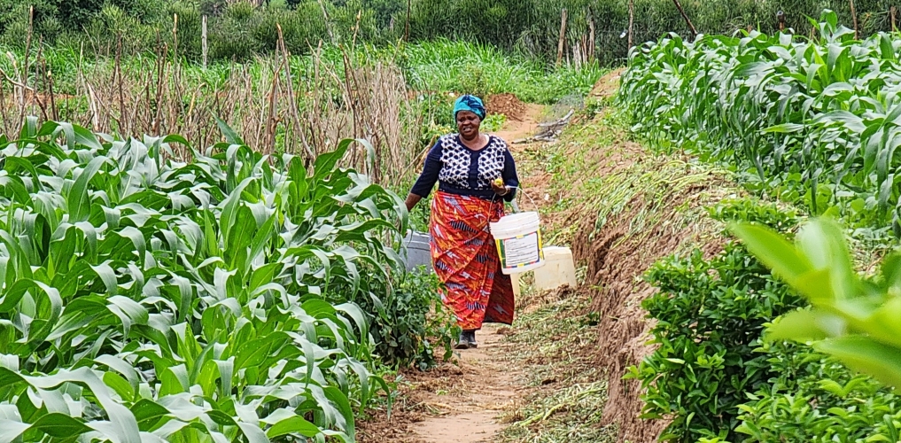 Small loans amount to big business for KWFT and life-enhancing outcomes for women in rural Kenya