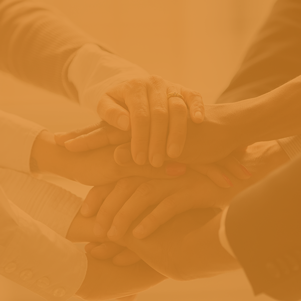 Collaboration & Partnerships
