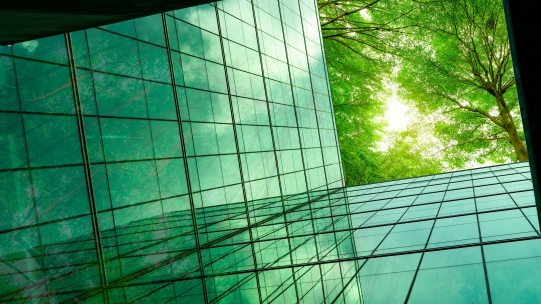 sky scraper with trees above