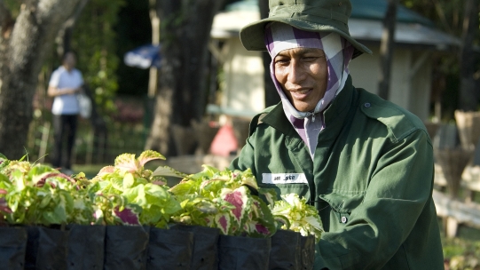 Man working 