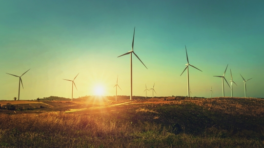 windmills