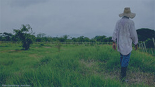 person walking outside on grass