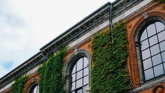 Governing towards a Sustainable Future | Cambridge Institute for Sustainability Leadership (CISL)