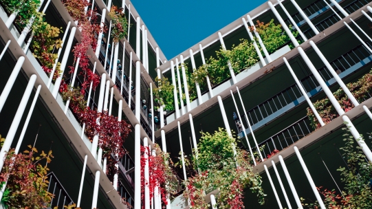 The Business Case for Sustainability  | Cambridge Institute for Sustainability Leadership (CISL)
