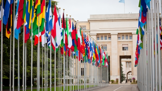 Country flags