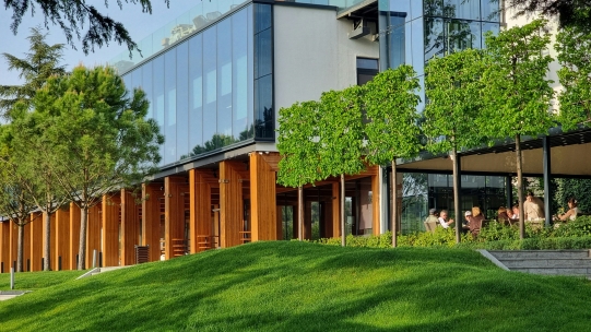 Sustainable Marketing Hub | Cambridge Institute for Sustainability Leadership (CISL)