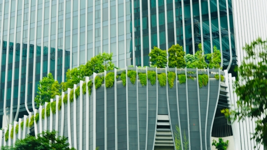 The Green Project Management (GPM) P5 Standard for Sustainability in Project Management