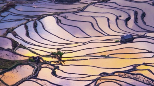 Digital Image for the CEO Study done by the UN Global Compact and Accenture