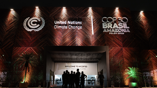 COP30 Brasil Backdrop